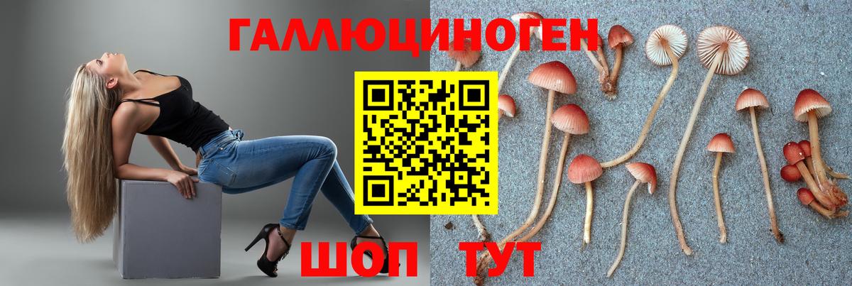 Трёхгорный  Псилоцибиновые грибы Cubensis  Галлюциногенные грибы Psilocybe  Вход с VPN 